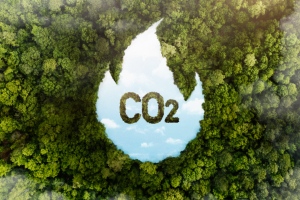 Эксперты АНО «СОЮЗЭКСПЕРТИЗА» ТПП РФ примут участие в стратегическом совещании ЕЭК по углеродному регулированию