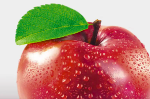 Стартовал прием заявок на участие в отраслевом конкурсе «За высокие потребительские свойства товаров» в рамках выставки «ПРОДЭКСПО-2026» 